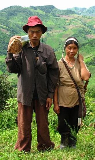 智人